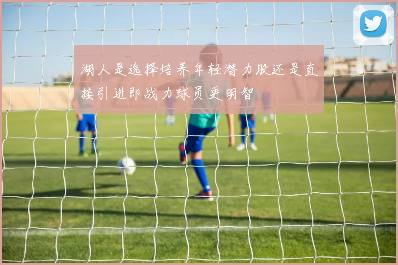 湖人是选择培养年轻潜力股还是直接引进即战力球员更明智