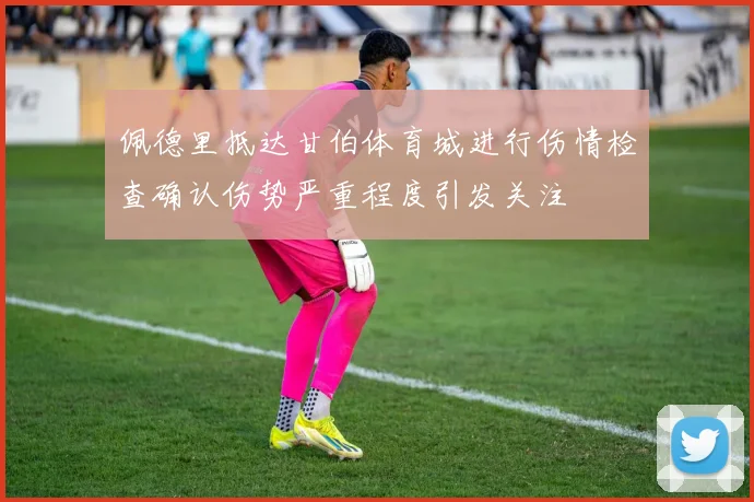 佩德里抵达甘伯体育城进行伤情检查确认伤势严重程度引发关注